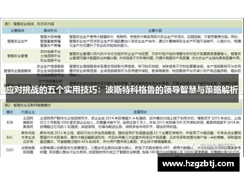 应对挑战的五个实用技巧：波斯特科格鲁的领导智慧与策略解析