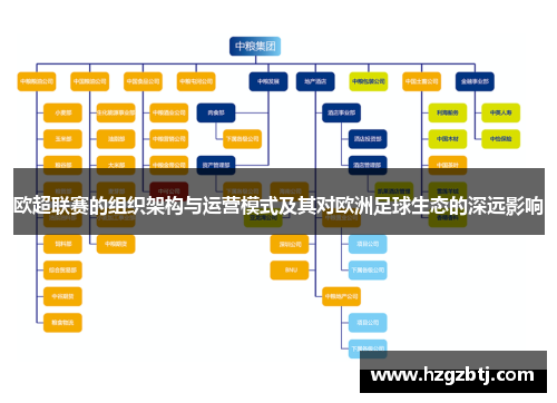 欧超联赛的组织架构与运营模式及其对欧洲足球生态的深远影响