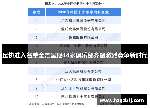 足协准入名单全景呈现44家俱乐部齐聚激烈竞争新时代